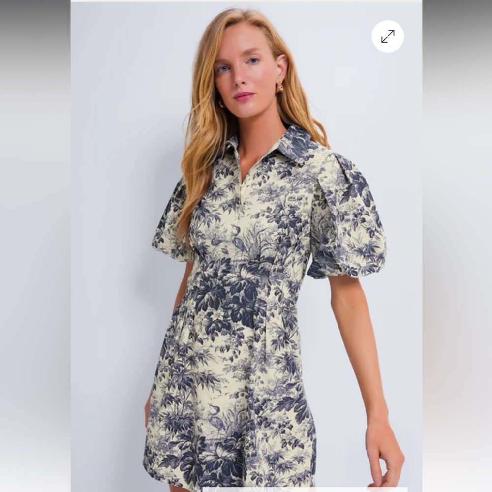 TUCKERNUCK
Navy Toile Mini Delaney Dress